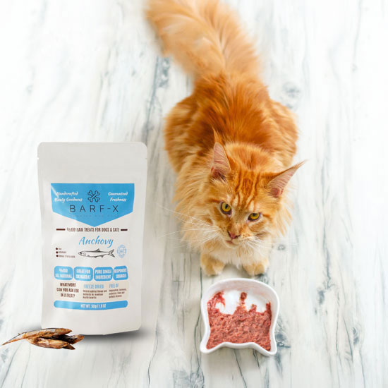 ETİK KAYNAKLI ETLER