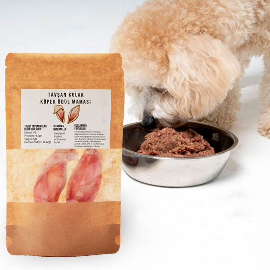 KALİTE VE GÜVENLİK STANDARTLARI