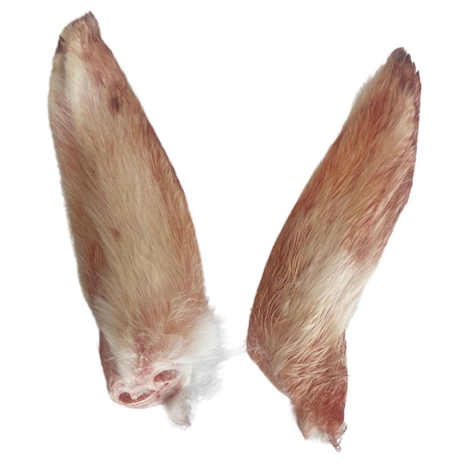 Tavşan Kulak 2 Adet